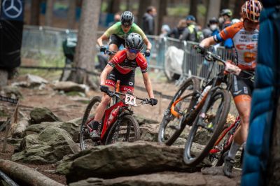 Nove Mesto