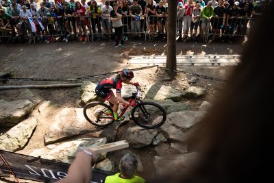 Nove Mesto
