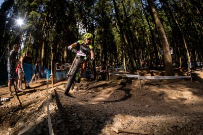Nove Mesto