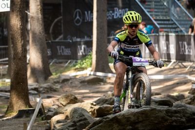 Nove Mesto