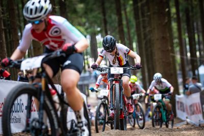 Nove Mesto