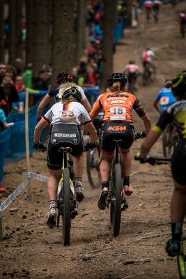 Nove Mesto