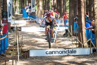 Nove Mesto