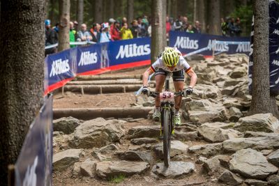 Nove Mesto