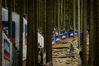 Nove Mesto
