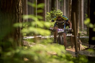 Nove Mesto