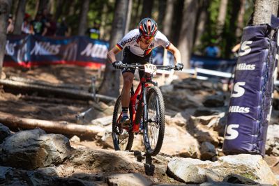 Nove Mesto
